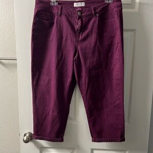 Lane Bryant Jeans